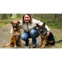 wagNwalkies Basingstoke Hampshire Logo 