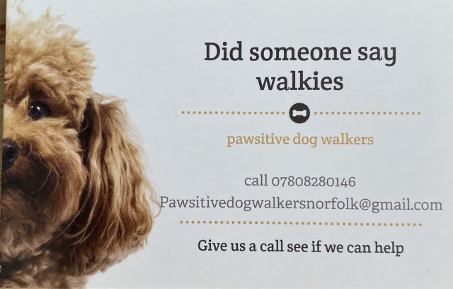Pawsitive dog walkers Norfolk