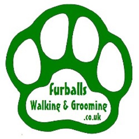Furballs Walking And Grooming