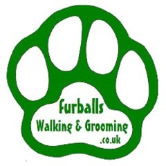 Furballs Walking And Grooming Burgate, Fordingbridge Hampshire Logo 