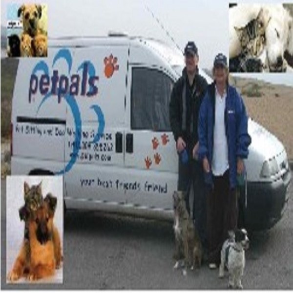Dog Grooming Dorchester Dog Grooming Dorchester