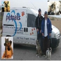 Petpals West Dorset Dorchester Dorset Logo 