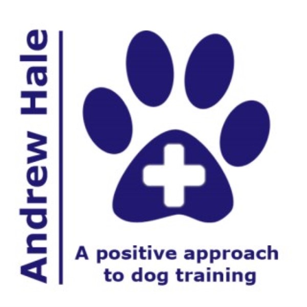 Andrew Hale Train Positive