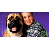 All Angels Holbeach, Spalding Lincolnshire Logo 