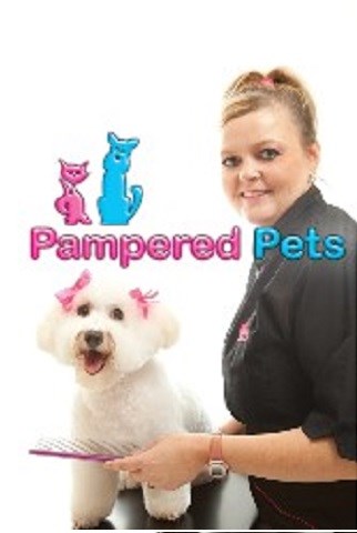 Pampered Pets @ Sam's Studio