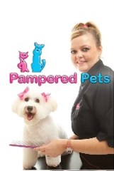 Pampered Pets @ Sam's Studio Pelsall, Walsall West Midlands Logo 