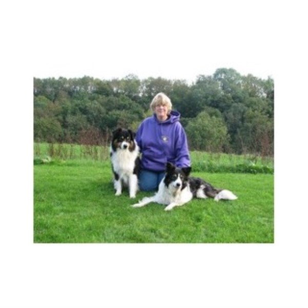 Perfect Pets Dog Training