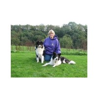 Perfect Pets Dog Training Swansea Neath Port Talbot Logo 