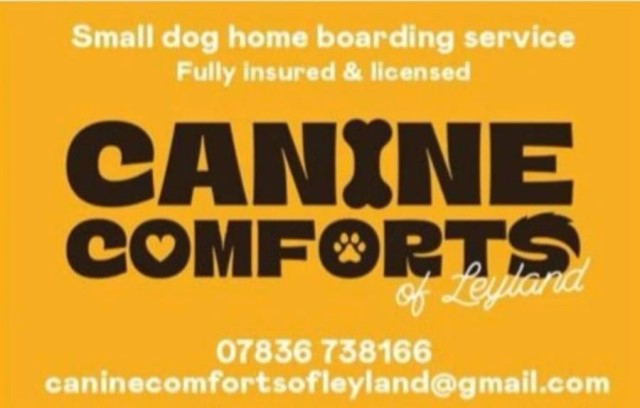 Canine comforts of Leyland