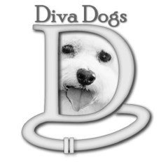 Diva Dogs in Fowey Fowey Cornwall Logo 