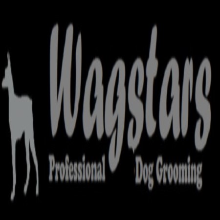 Wagstars Dog Grooming