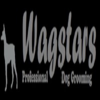 Wagstars Dog Grooming Stockport Cheshire Logo 