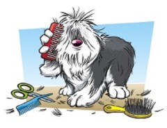 Clean K9 Oldbury West Midlands Logo 