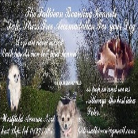 The Saltdean Boarding Kennels