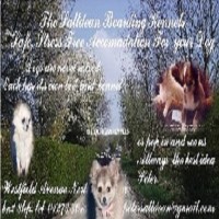 The Saltdean Boarding Kennels Brighton East Sussex Logo 