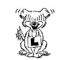 Just Pet Dogs Training & Behaviour Hull East Yorkshire Logo 