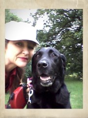 Houndsabout Bexley Greater London Logo 