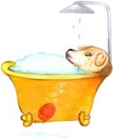 Mister Tom Dog Grooming Saltash Cornwall Logo 