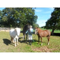 Holiday Home for Pets Newton Abbot Devon Logo 