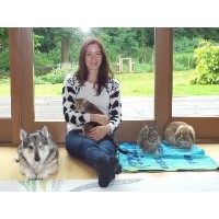 Karen's Happy Pets Saxby-All-Saints Lincolnshire Logo 