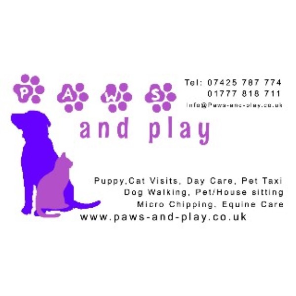 Paws and Play Dog Walking and Pet Sitting