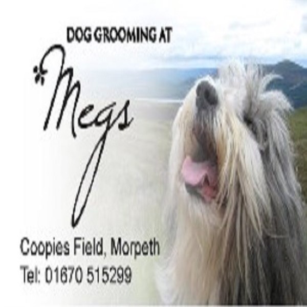 Dog Grooming At Megs