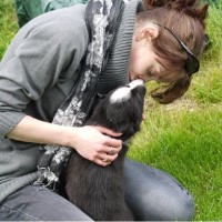 The Dog Lady Auchterarder Perth and Kinross Logo 