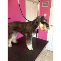 Woof Around The Edges Hinckley Leicestershire Logo 