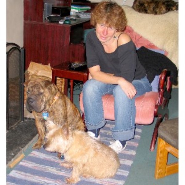 The Happy Hound Hotel