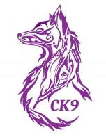 Central K9 Services Derby Derbyshire Logo 