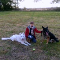 Pet Sitters Plus Ltd. Arnold Nottinghamshire Logo 