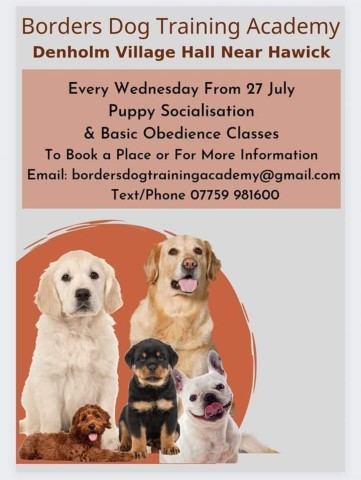 Borders Dog Training Academy