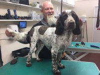 GroomLechlade Lechlade Gloucestershire Logo 