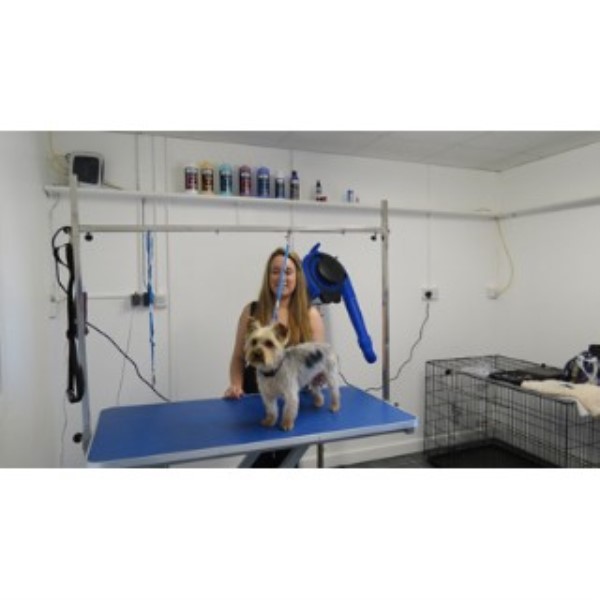 Surrey Dog Grooming Salon