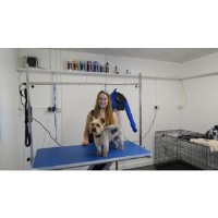 Surrey Dog Grooming Salon Walton On Thames Surrey Logo 