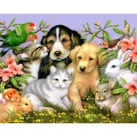 PETICURE Mobile Dog Grooming and Pet Daycare Buckfastleigh Devon Logo 