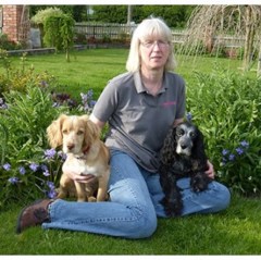 PetStay Leics Swannington Leicestershire Logo 