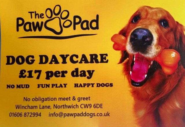 The Paw Pad