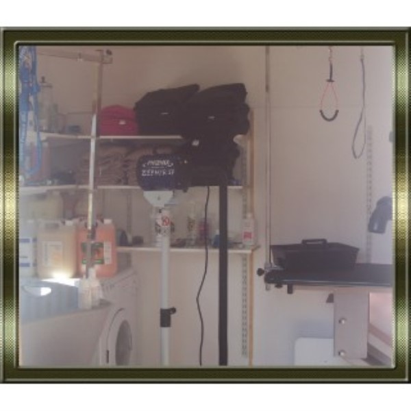 Sophanise Dog & Cat Grooming