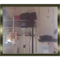 Sophanise Dog & Cat Grooming Lyneham Wiltshire Logo 