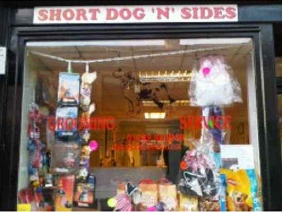 Short Dog N Sides Dog Grooming