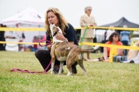 Akira Dog Training Llanbrynmair Powys Logo 