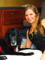 Walkies Bude Bude Cornwall Logo 