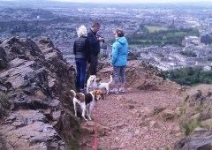 Dog Walking Edinburgh Edinburgh Logo 