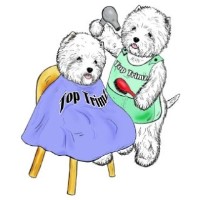 Top Trimz Leadgate, Consett. Durham Logo 