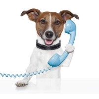 Essex Pet Care Loughton Essex Logo 