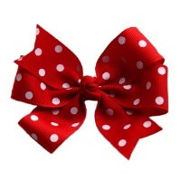 Reigning Cats & Dogs Hindhead Surrey Logo 