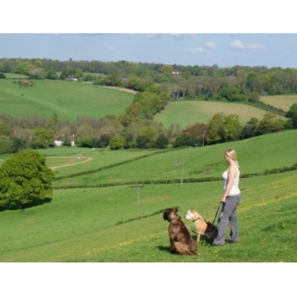 Total Pet Services - Bramley