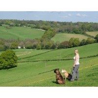 Total Pet Services - Bramley Bramley, Guildford Surrey Logo 