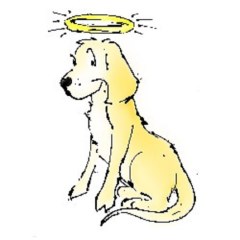 Brockhill Dog Training And Behaviour Peterborough Cambridgeshire Logo 